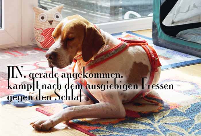 JIN_Ankunft1.jpg