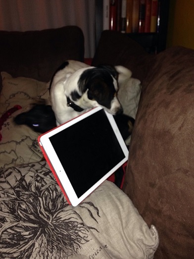 iPhone 2015_03_01 266.JPG