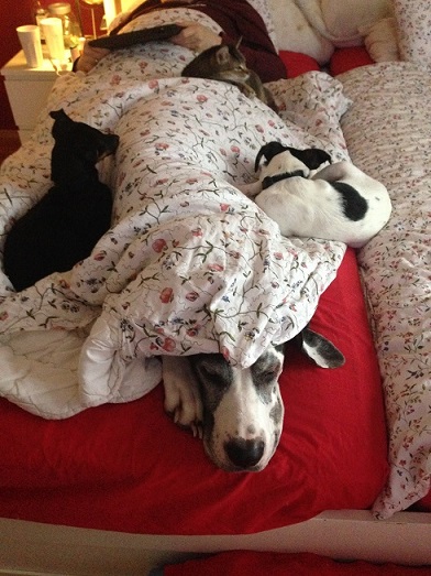 iPhone 2015_03_01 321.JPG