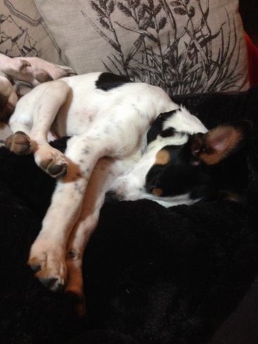 2015_03_15 iPhone Felix 050 - Kopie.JPG