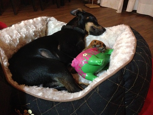 2015_03_15 iPhone Felix 051 - Kopie.JPG