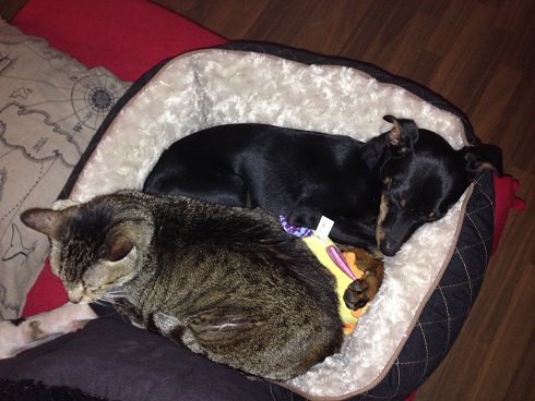 2015_03_15 iPhone Felix 081 - Kopie.JPG