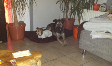 Xono und Paula.png