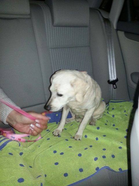 IMG-20160526-WA0002.jpg