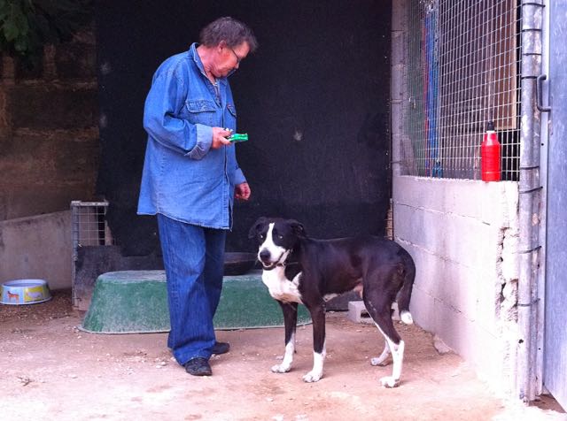 IMG_2384 - Arbeitskopie 2.jpg