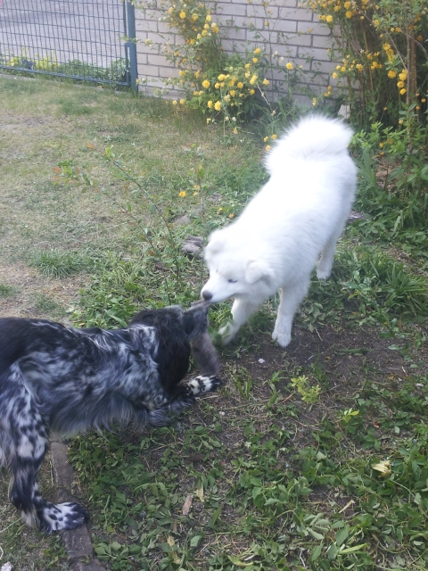 20160509_190521.jpg