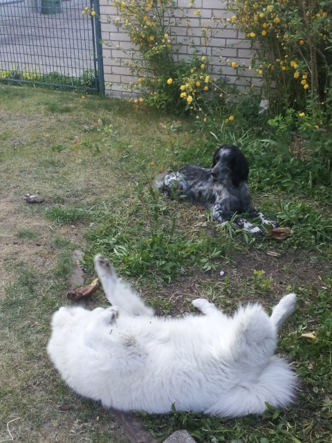 20160510_193654.jpg