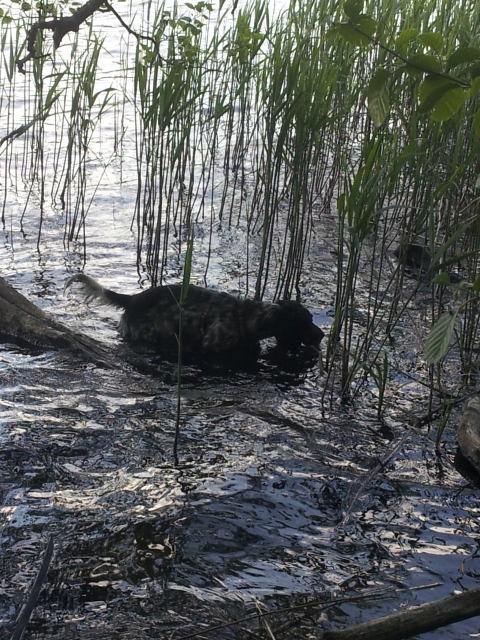 20160511_173557.jpg