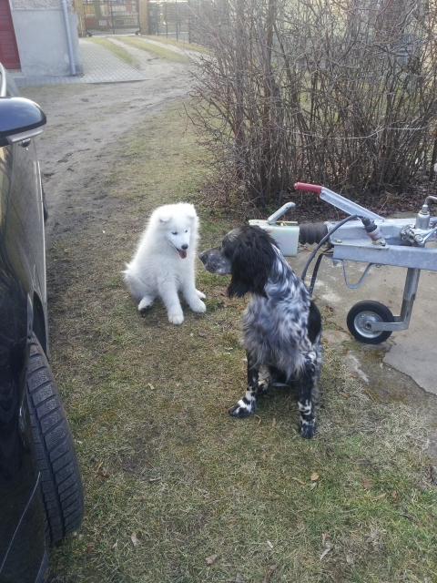 20160309_162345.jpg