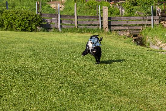20160526_JMG_12735.jpg