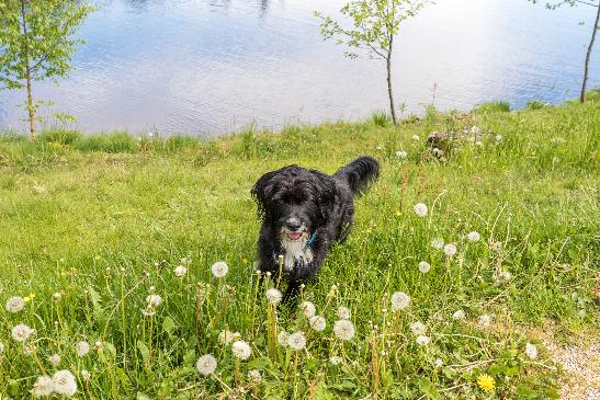 20160527_JMG_12768.jpg