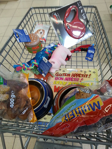 jin_shopping.jpg