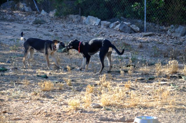 DSC_0354.jpg