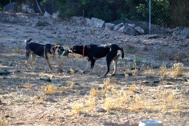 DSC_0355.jpg