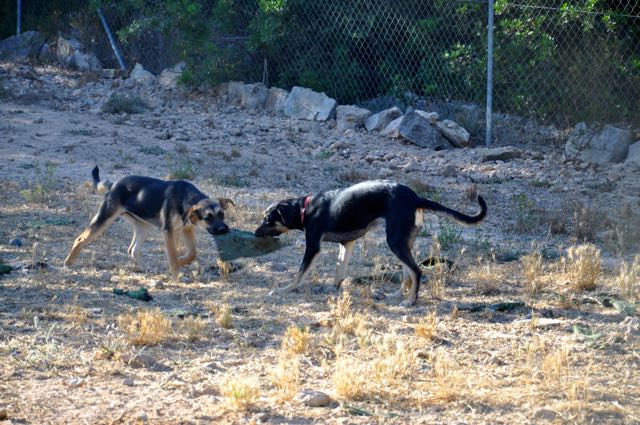 DSC_0356.jpg