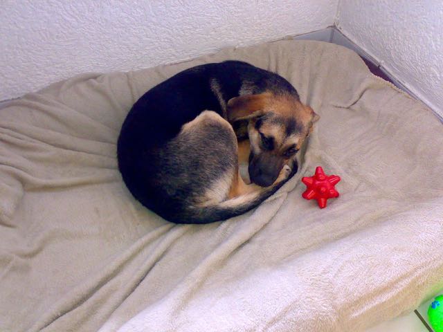 170620161197.jpg