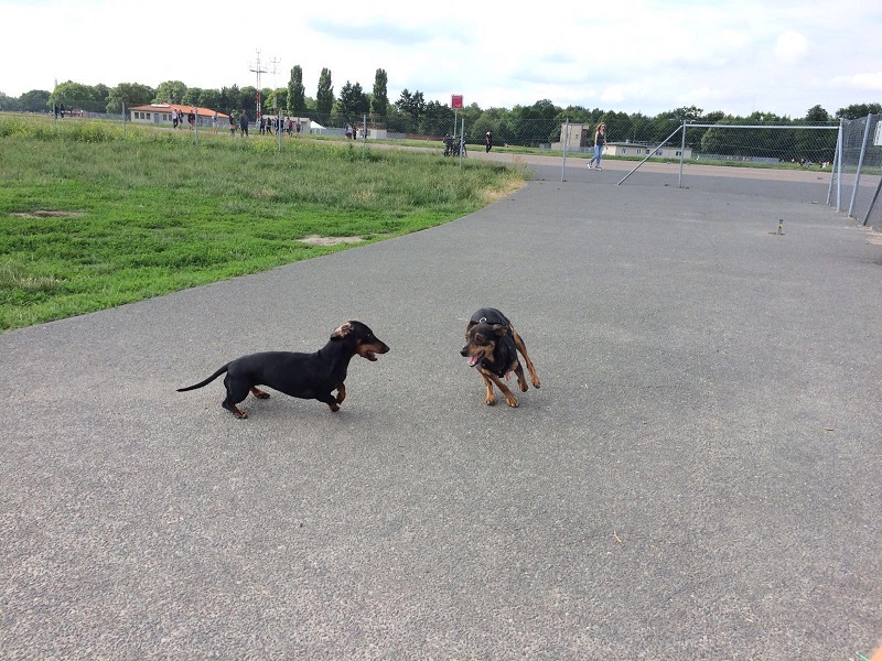 IMG-20160621-WA0009.jpg