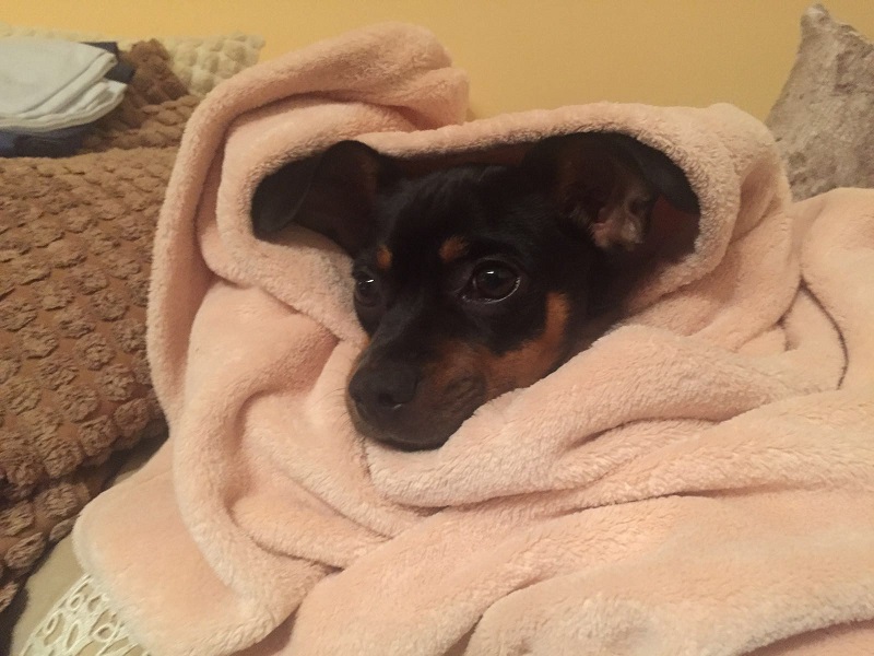IMG-20160712-WA0014.jpg