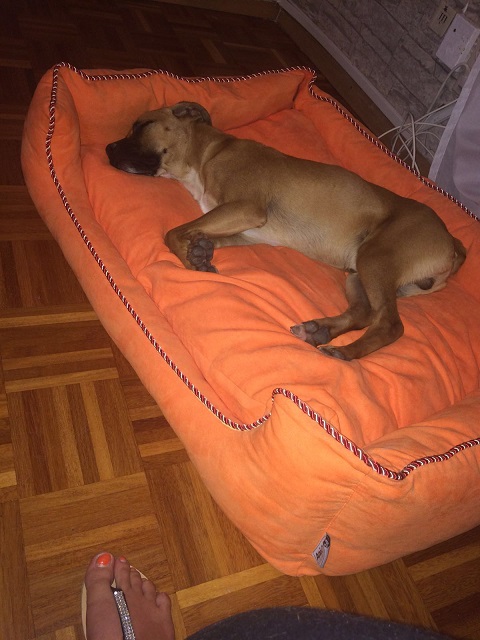 IMG-20160726-WA0002.jpg
