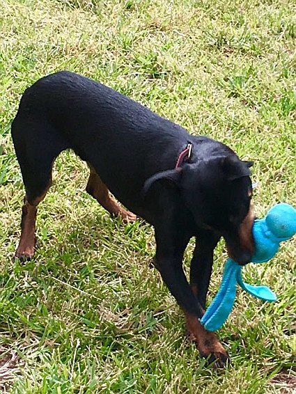 20160811IMG-20160617-WA0002-2.jpg