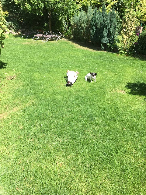 IMG-20160822-WA0007.jpg