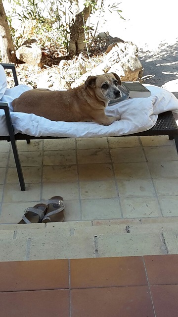 IMG-20160906-WA0004.jpg