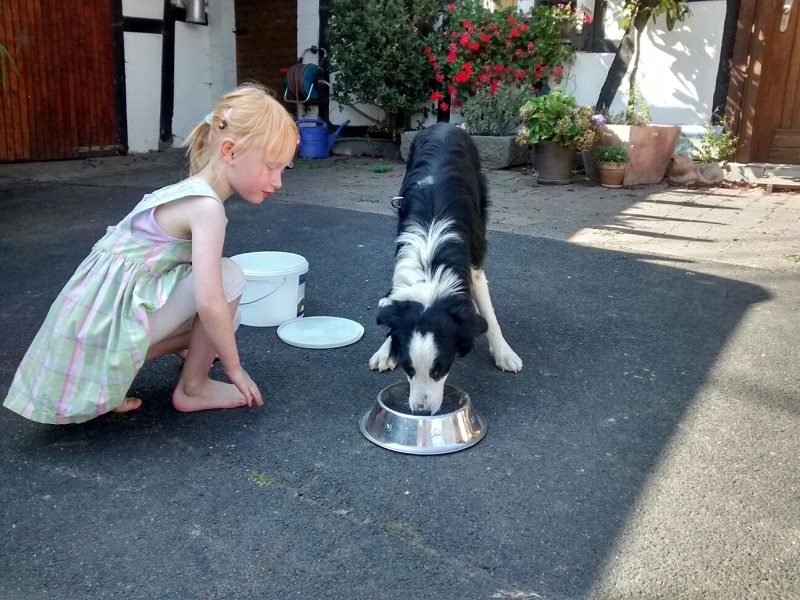 IMG-20160914-WA0012.jpg