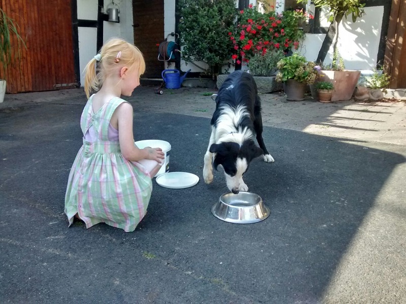 IMG-20160914-WA0016.jpg