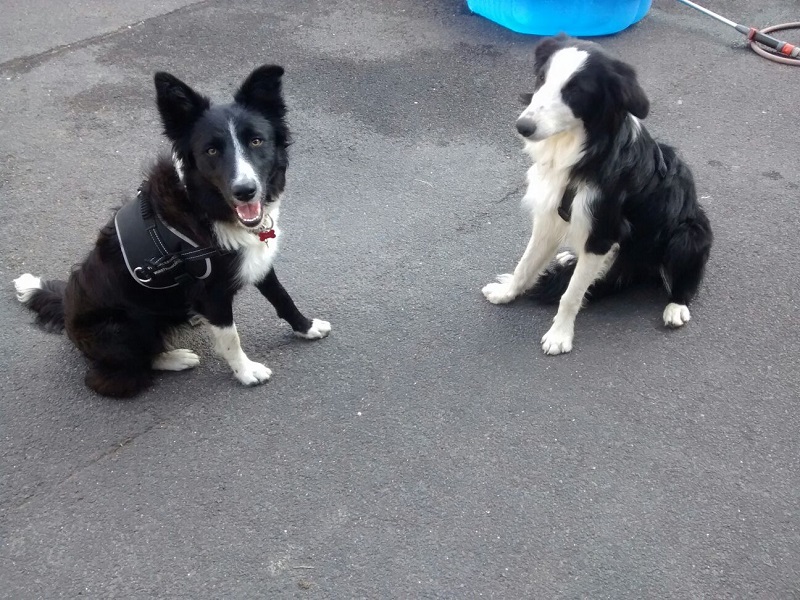 IMG-20160914-WA0018.jpg