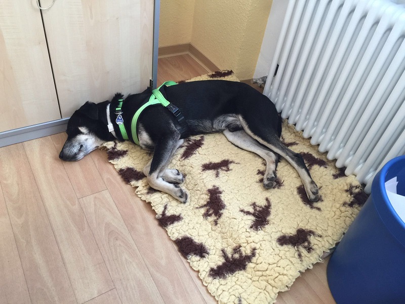IMG-20160915-WA0006.jpg