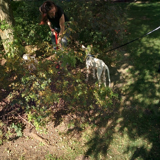 IMG-20160915-WA0033.jpg
