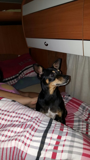 IMG-20160916-WA0002.jpg