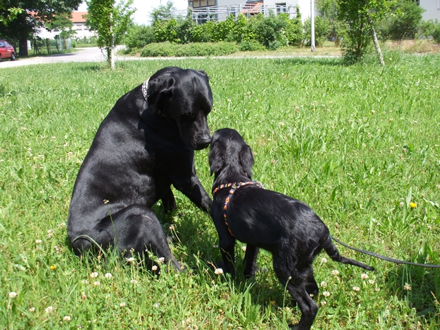 s_01 Preto 2008.jpg