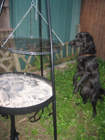s_05 Grillen 2010.JPG