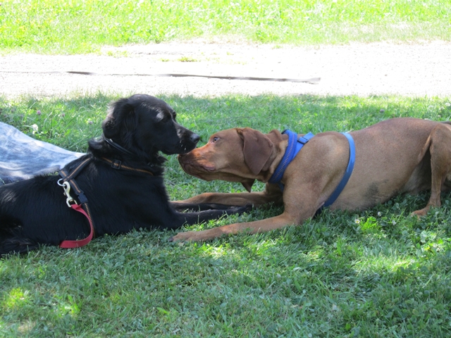 s_08 Urlaub 2011.JPG