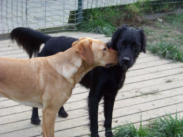 s_09 Urlaub 2012.jpg
