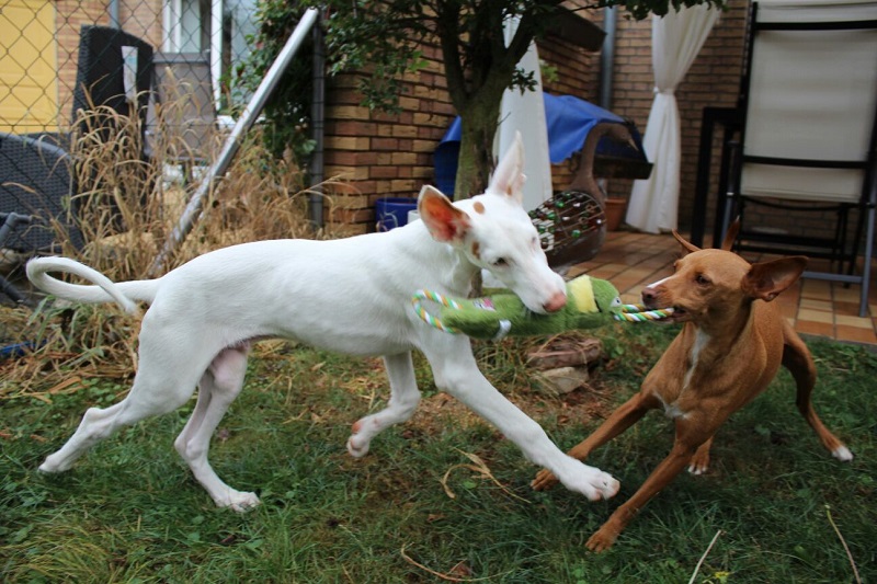IMG-20160923-WA0007.jpg