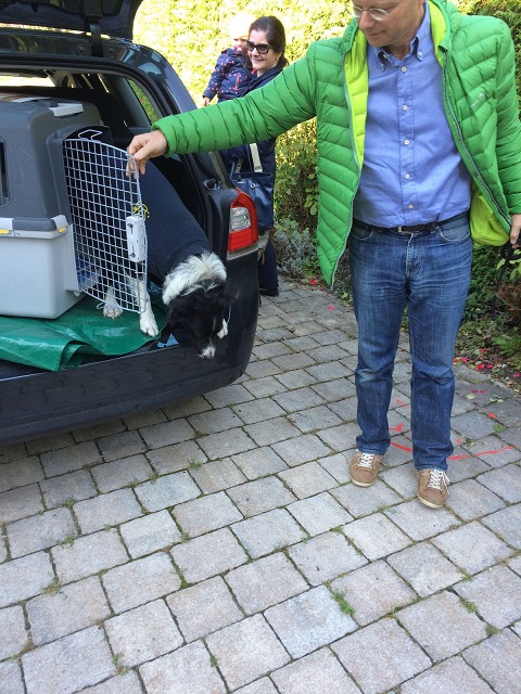 IMG-20160925-WA0005.jpg