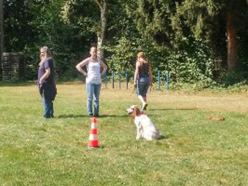 IMG-20160926-WA0002.jpg