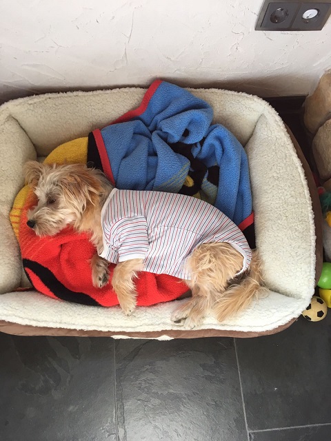 IMG-20160928-WA0001.jpg