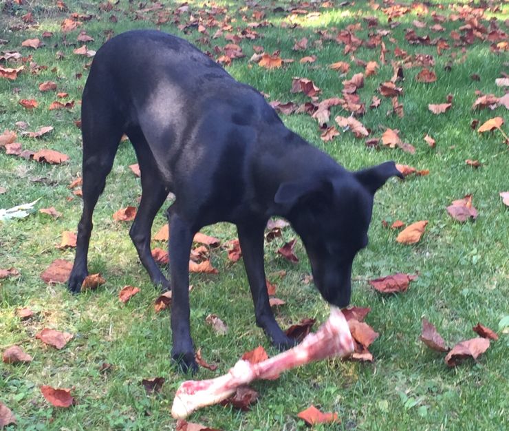 Lecker.jpg