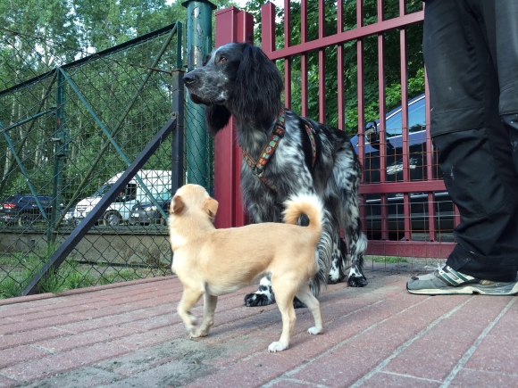 IMG-20160619-WA0015.jpg