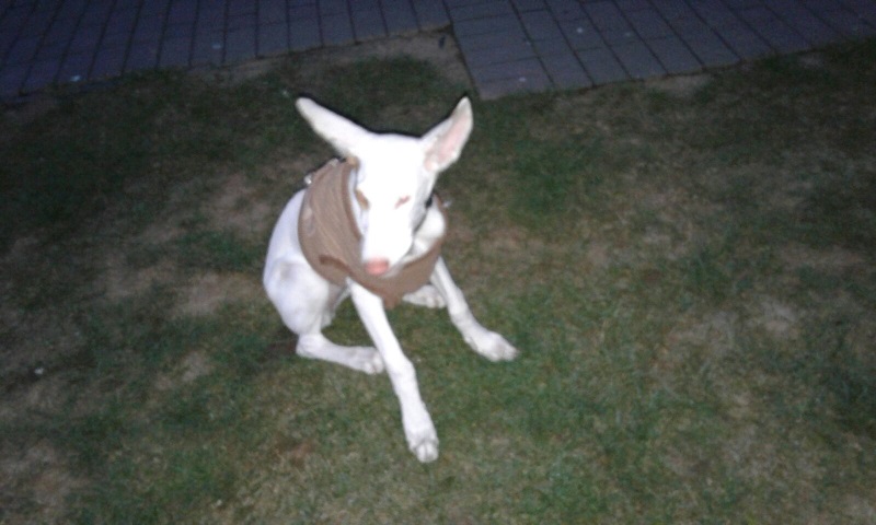 IMG-20161018-WA0013.jpg