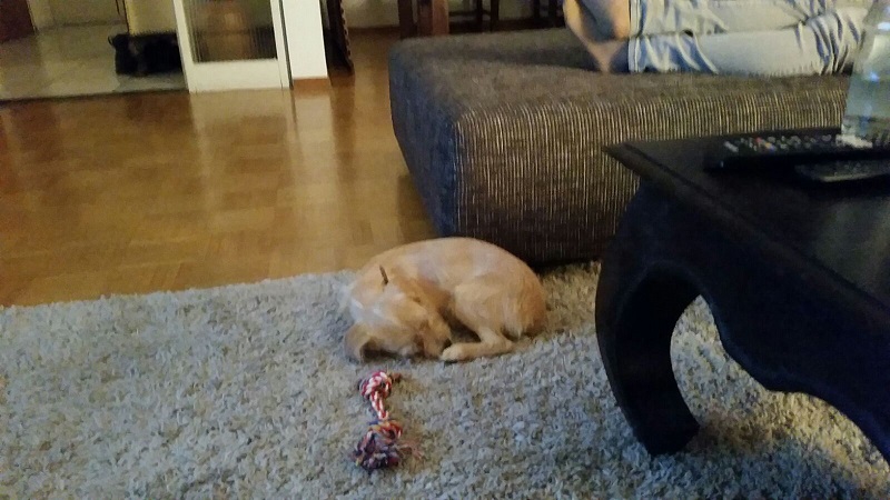 IMG-20161019-WA0004.jpg
