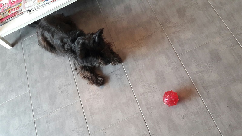 IMG-20161023-WA0006.jpg
