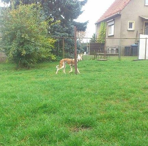 Im Garten 2.jpg