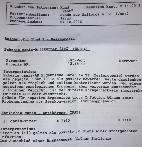 Befund1.jpg