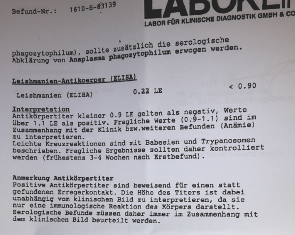 Befund2.jpg
