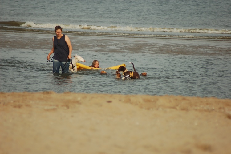 CENI im Meer.jpg