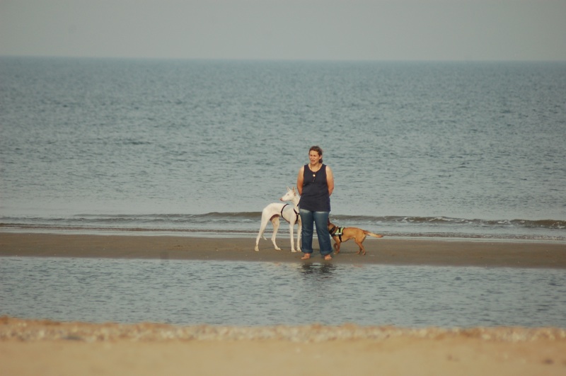 CENI am Meer.jpg